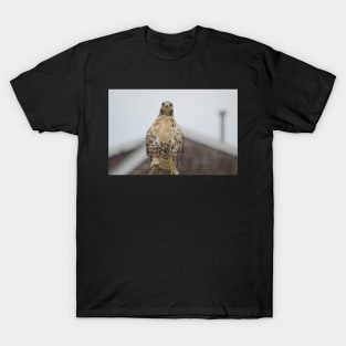 RedTail Hawk T-Shirt